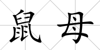 鼠母