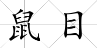 鼠目