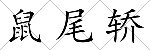 鼠尾轎