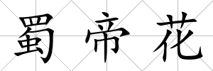 蜀帝花
