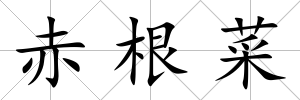 赤根菜