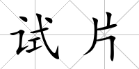 試片