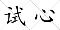試心