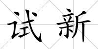 試新