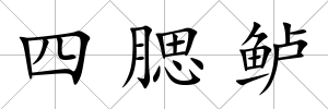 四腮鱸