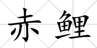 赤鯉