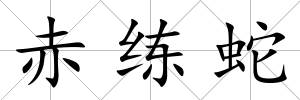 赤練蛇