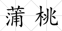 蒲桃