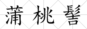 蒲桃髻