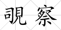 覗察