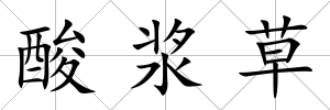 酸漿草