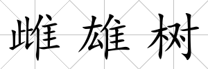 雌雄樹