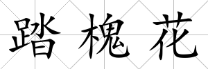 踏槐花