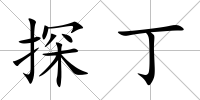 探丁