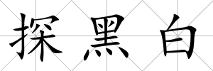 探黑白