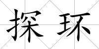 探環