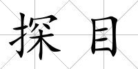 探目