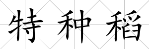 特種稻