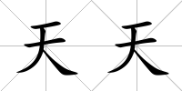 天天