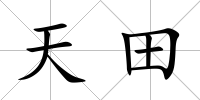 天田