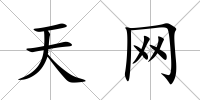 天網