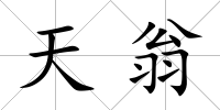 天翁