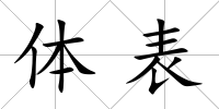 體表