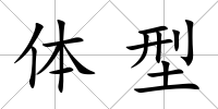 體型