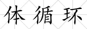 體循環(huán)