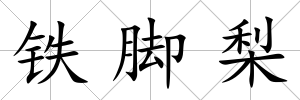 鐵腳梨