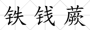 鐵錢蕨