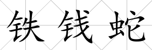 鐵錢蛇