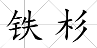 鐵杉