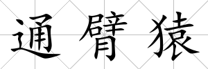 通臂猿