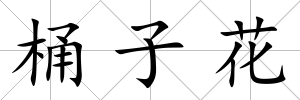 桶子花