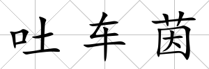 吐車茵