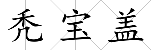 禿寶蓋