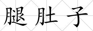 腿肚子