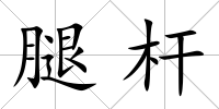 腿桿