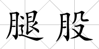 腿股