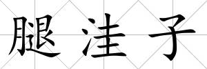 腿洼子