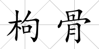 枸骨
