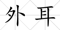 外耳