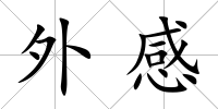 外感