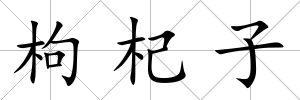 枸杞子