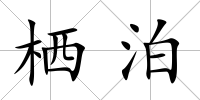 棲泊