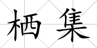 棲集
