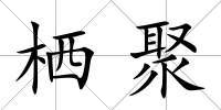 棲聚