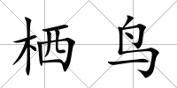 棲鳥