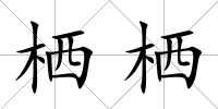 棲棲